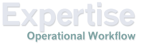 Operational Workflow